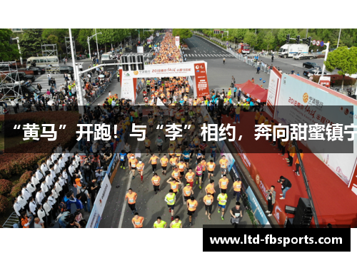 “黄马”开跑！与“李”相约，奔向甜蜜镇宁