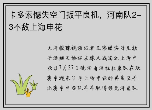 卡多索憾失空门扳平良机，河南队2-3不敌上海申花
